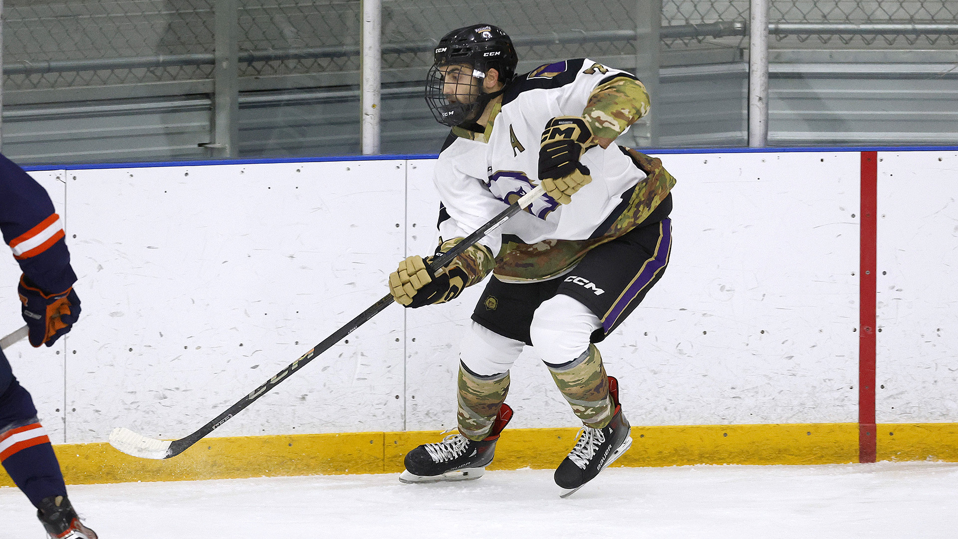 Men's Ice Hockey Team