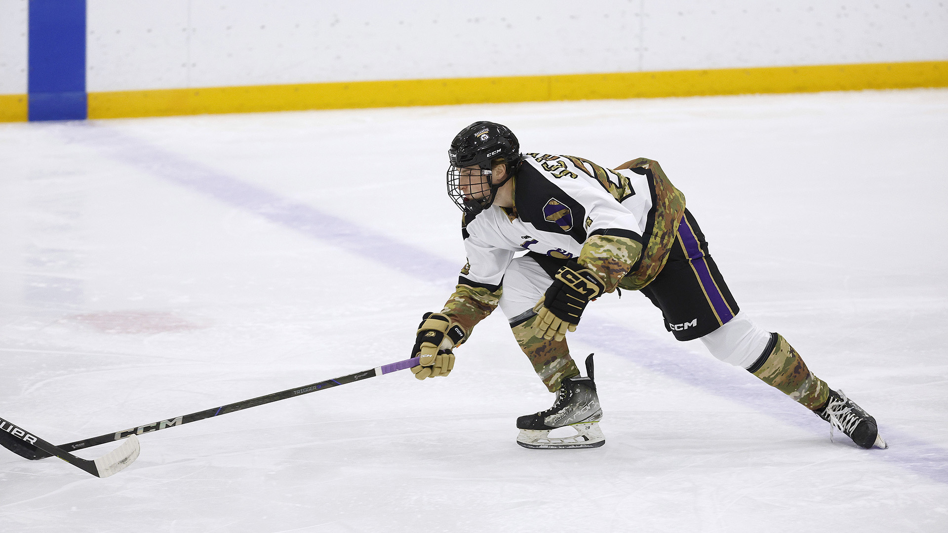 Men's Ice Hockey Team